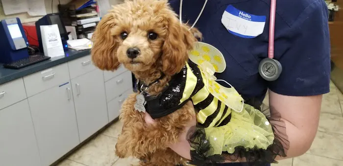 Foothills Animal Hospital 12