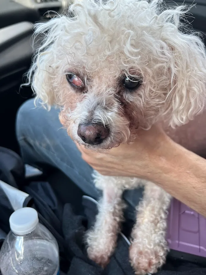 Banfield Pet Hospital 4