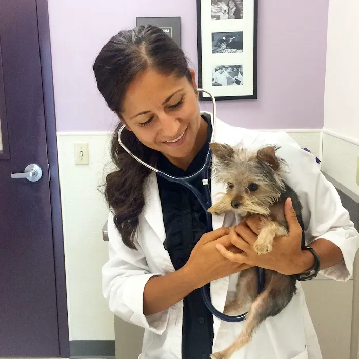 Family VetCare of Phoenix 12