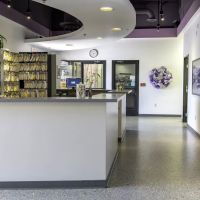Family VetCare of Phoenix ico
