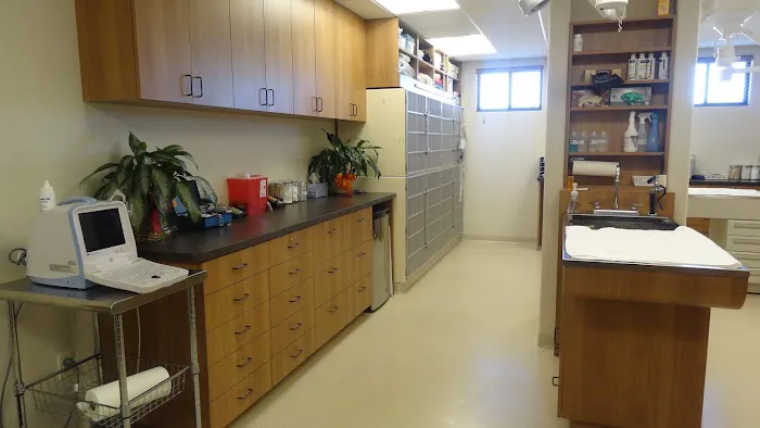 El Dorado Animal Hospital 4
