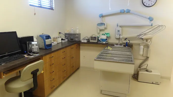 El Dorado Animal Hospital 1