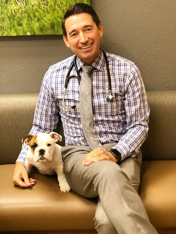 Desert Veterinary Medical Specialists 12