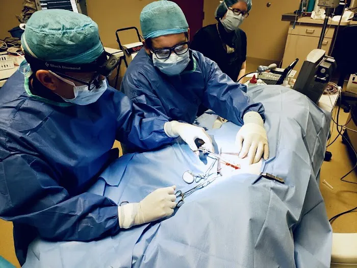 Desert Veterinary Medical Specialists 12