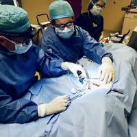 Desert Veterinary Medical Specialists ico