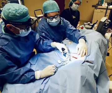 Desert Veterinary Medical Specialists