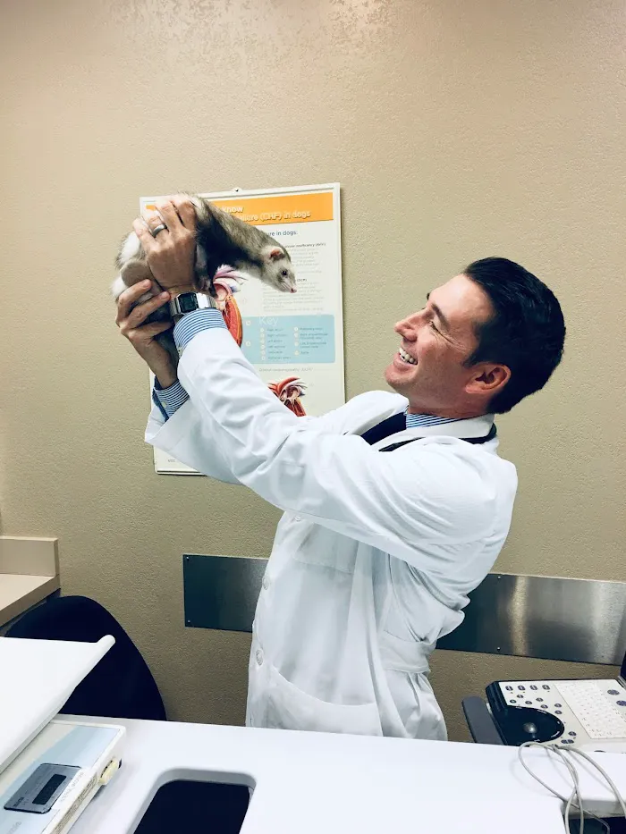 Desert Veterinary Medical Specialists 12