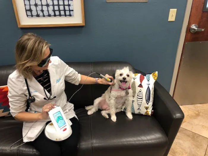 Hillside Animal Hospital 6