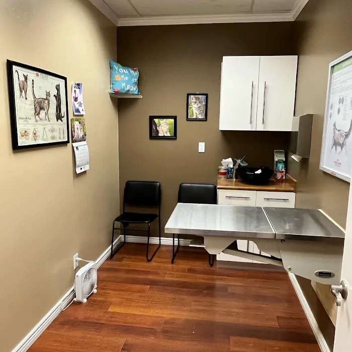 Desert Hills Animal Clinic 5