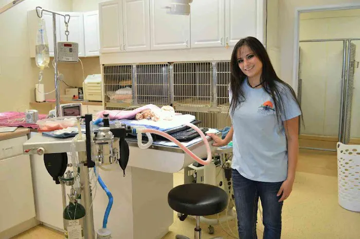 Desert Hills Animal Clinic 7