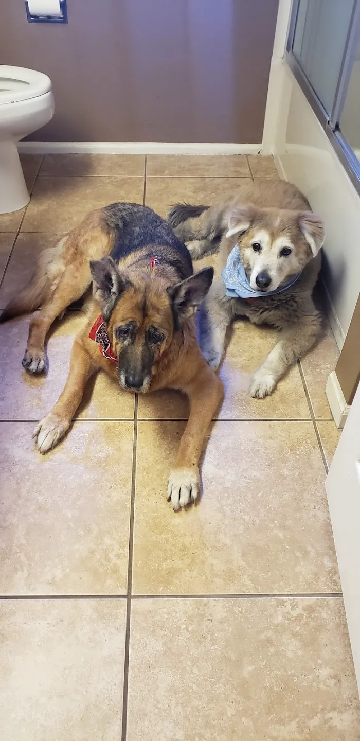 Dynamite Creek Animal Hospital 8