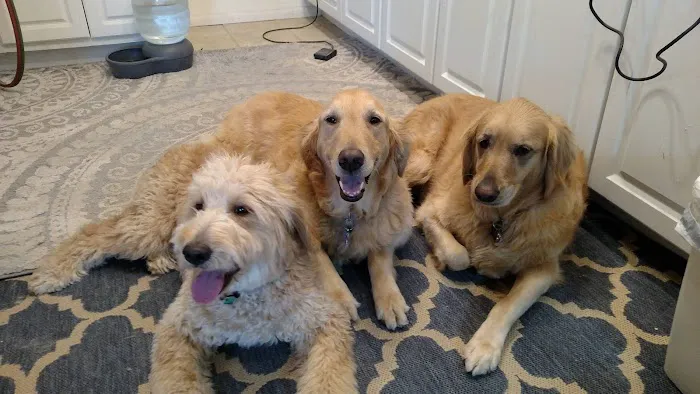 Banfield Pet Hospital 9