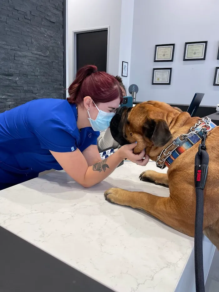 Desert Ridge Animal Hospital 8