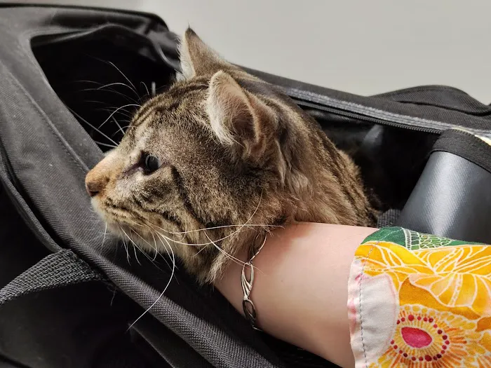 Desert Ridge Animal Hospital 6