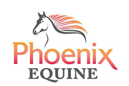 Phoenix Equine Veterinary Services, LLC