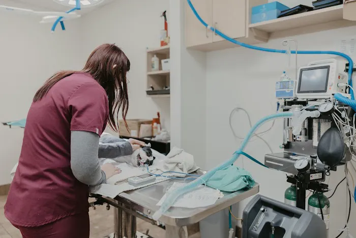 Dr. Kelly's Surgical Unit - North Phoenix 1