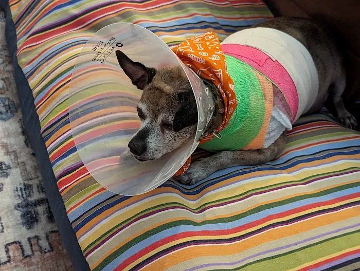Banfield Pet Hospital 9