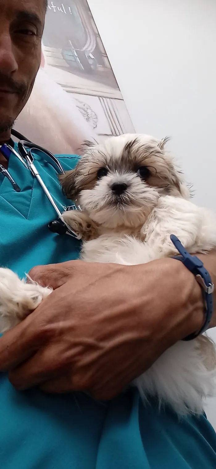 Dr Carr's Pet Repair 7