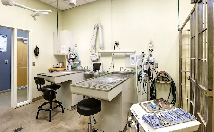 Higley Groves Animal Hospital 1
