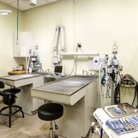 Higley Groves Animal Hospital ico