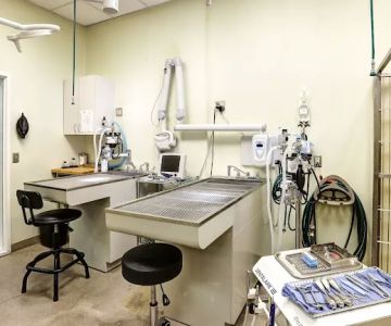 Higley Groves Animal Hospital