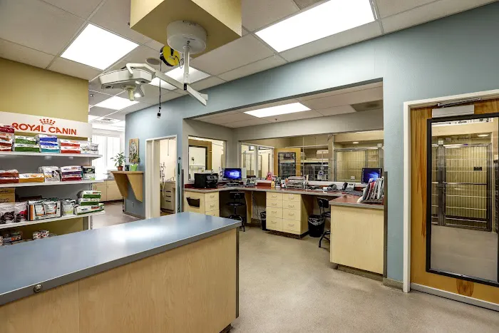 Higley Groves Animal Hospital 5