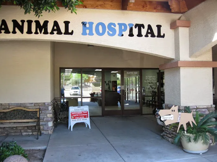 Bark Avenue Animal Hospital 2