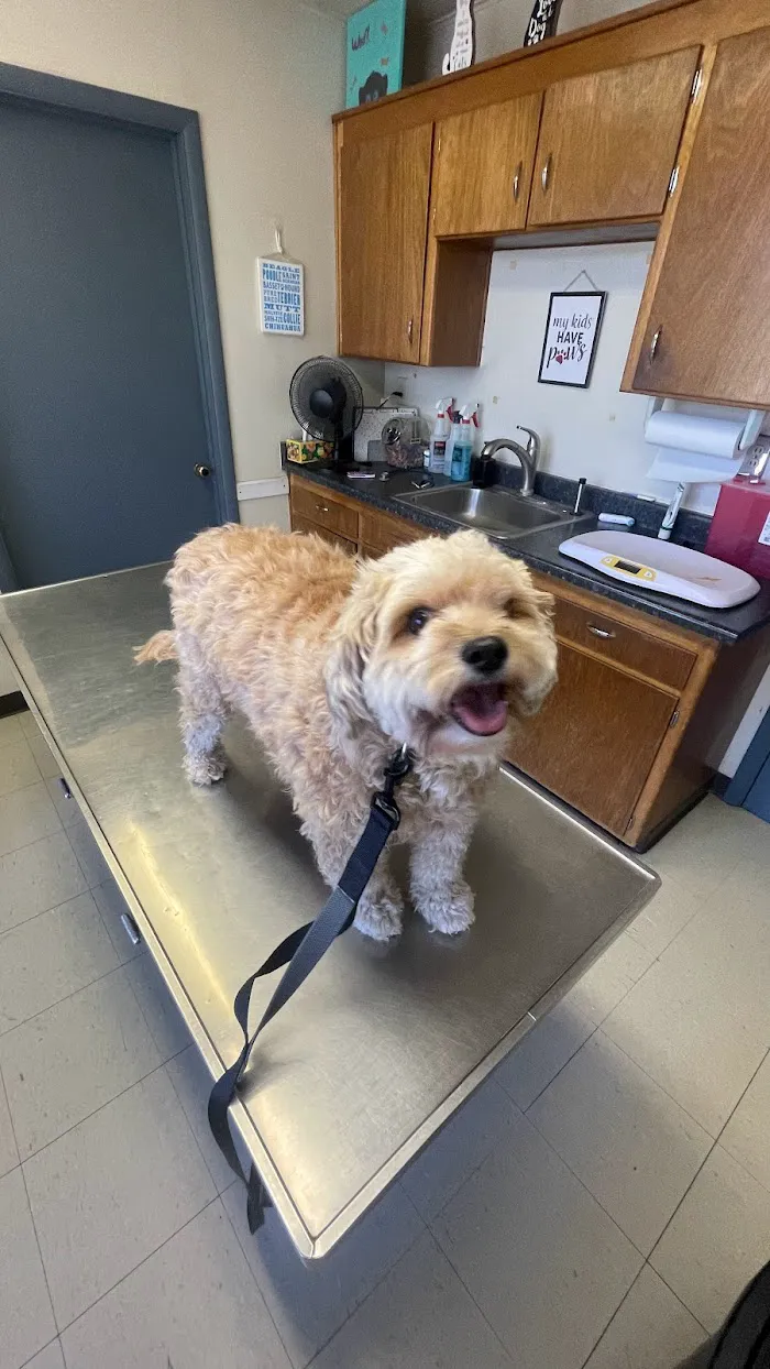 Glenfair Veterinary Hospital 1