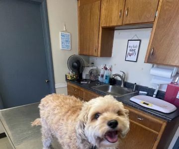 Glenfair Veterinary Hospital