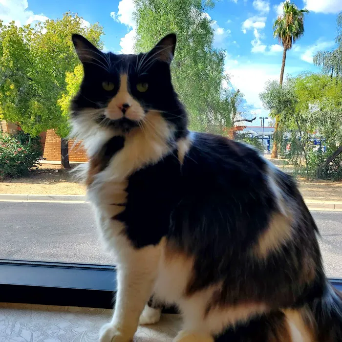 Palm Glen Animal Hospital 8