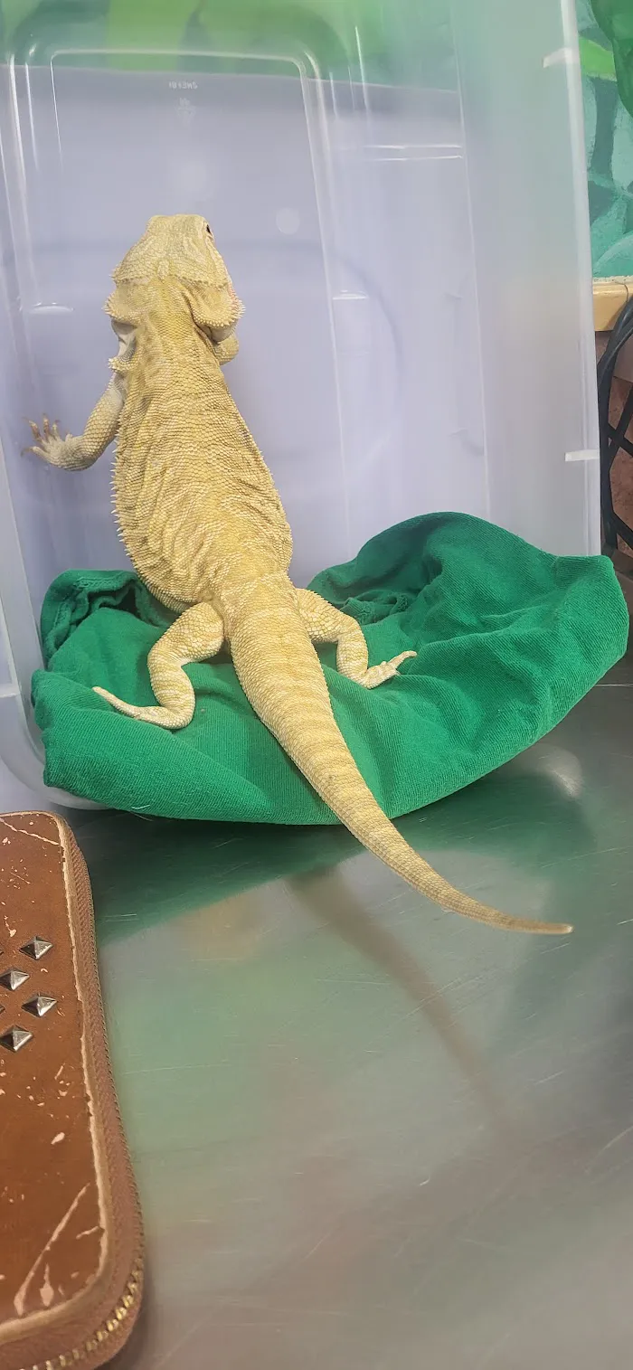 Palm Glen Animal Hospital 9