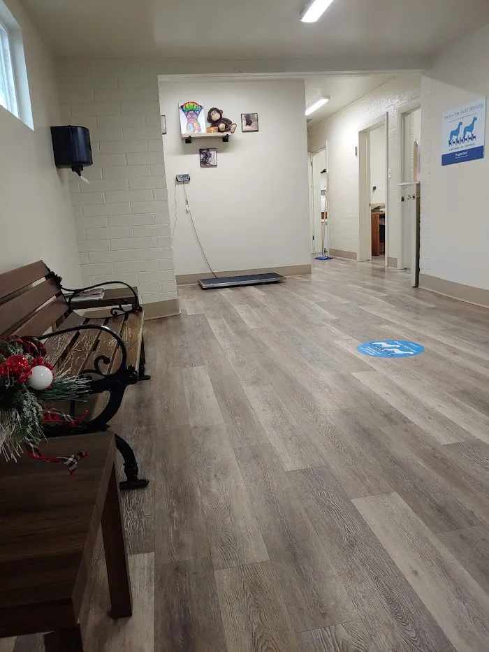 Sun Valley Hope Animal Hospital 2