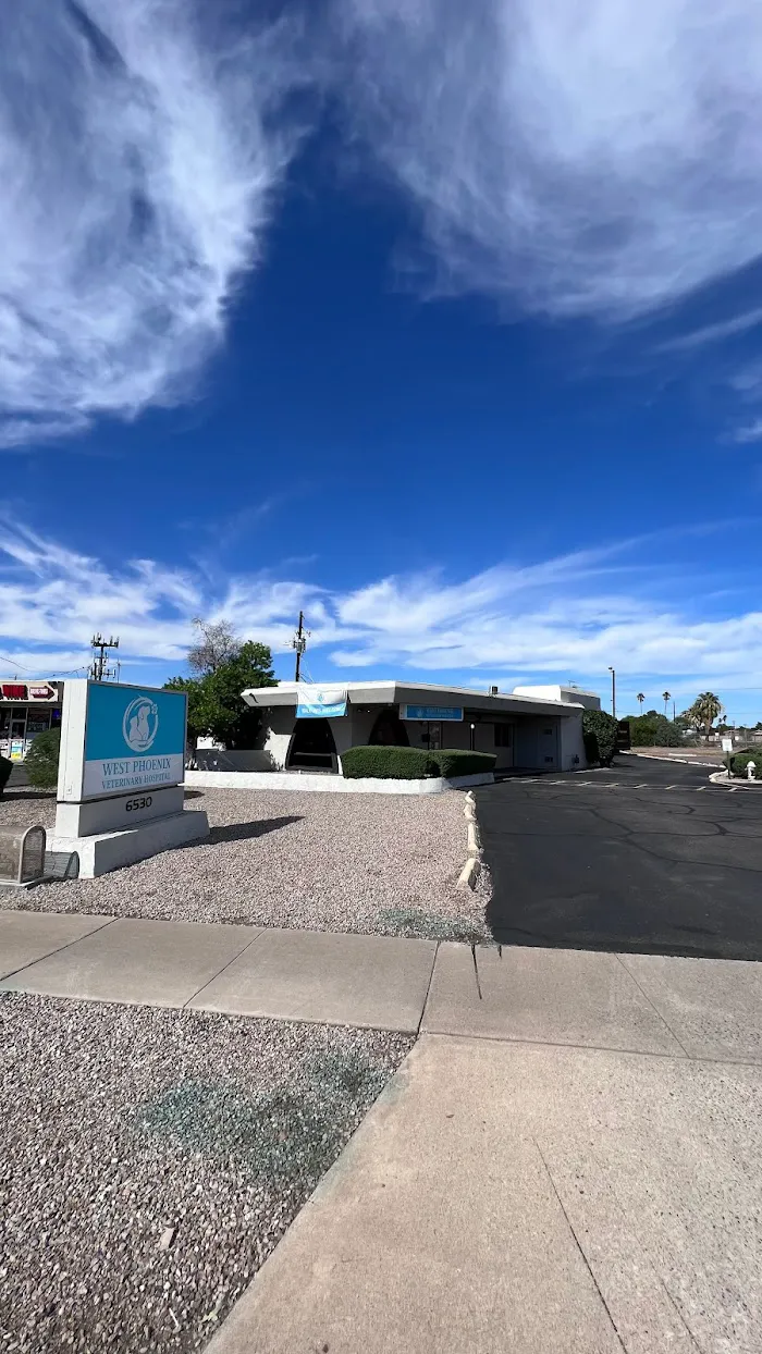 West Phoenix Veterinary Hospital 9