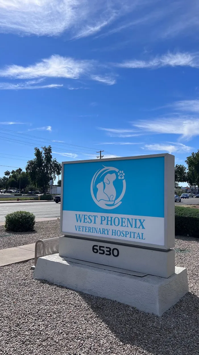 West Phoenix Veterinary Hospital 10