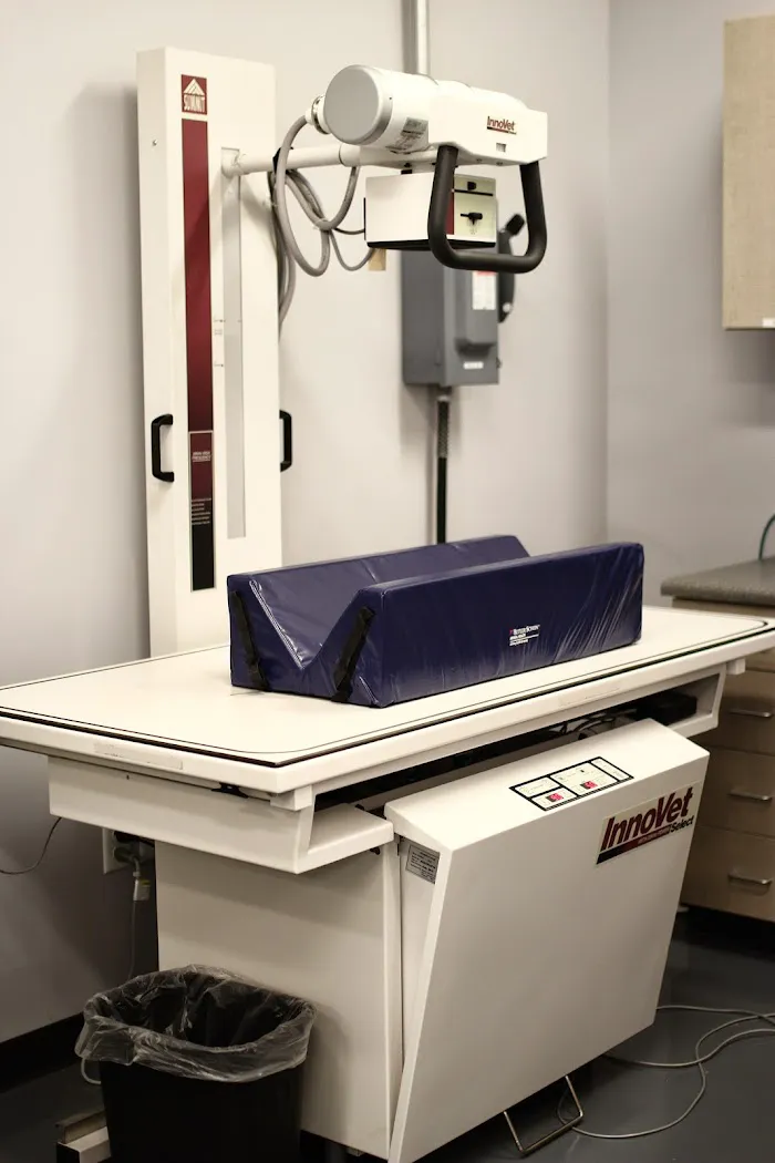 Laveen Veterinary Center 8