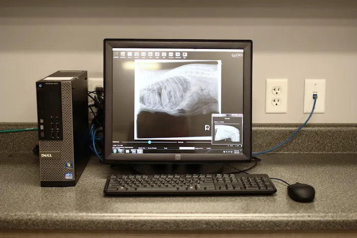 Laveen Veterinary Center 6
