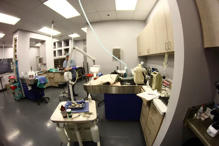 Laveen Veterinary Center 1