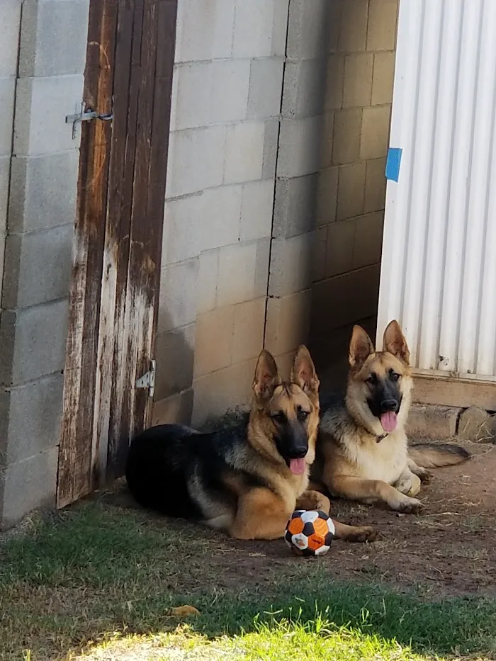 Van Aken Pet Hospital 3