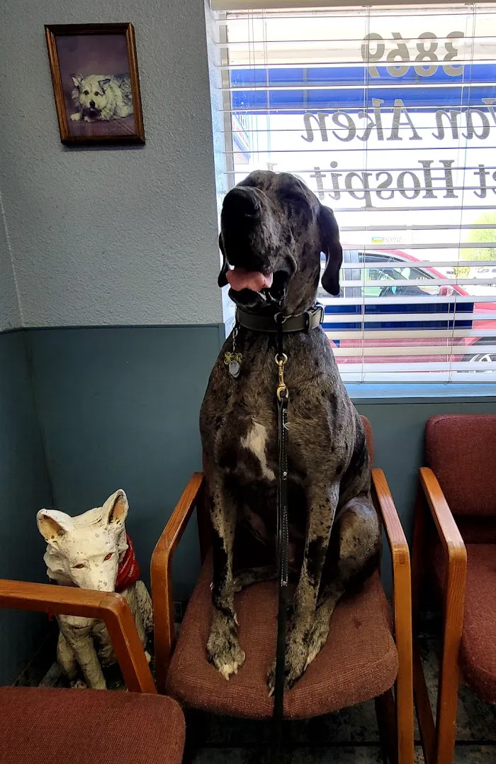 Van Aken Pet Hospital 9