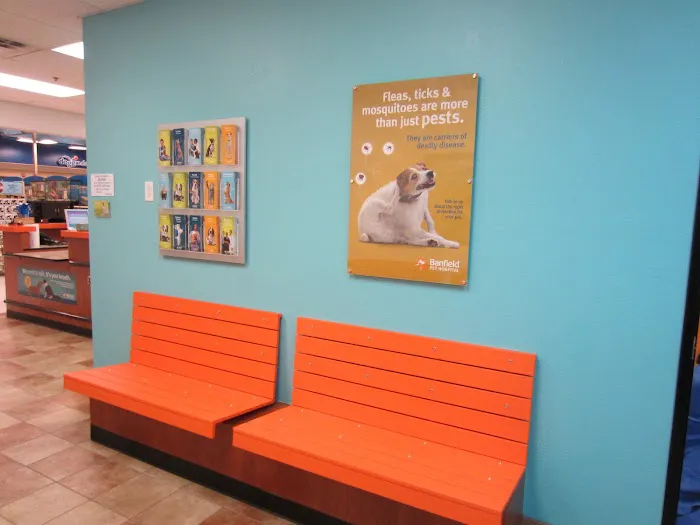 Banfield Pet Hospital 6