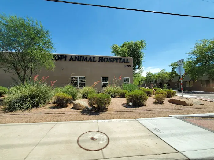 Hopi Animal Hospital 12