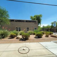 Hopi Animal Hospital ico