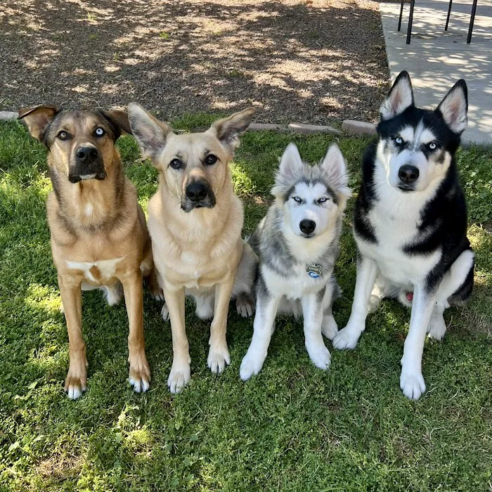 Hopi Animal Hospital 12