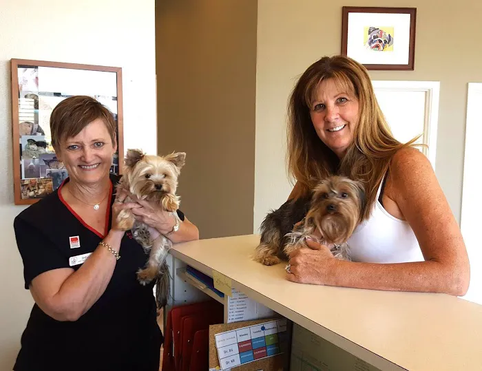 Animal Clinic Del Rancho, A Thrive Pet Healthcare Partner 5