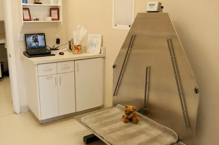Animal Clinic Del Rancho, A Thrive Pet Healthcare Partner 6
