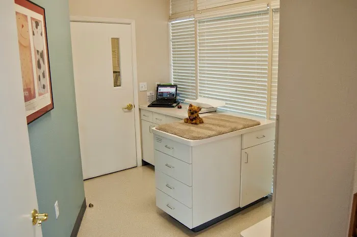 Animal Clinic Del Rancho, A Thrive Pet Healthcare Partner 3