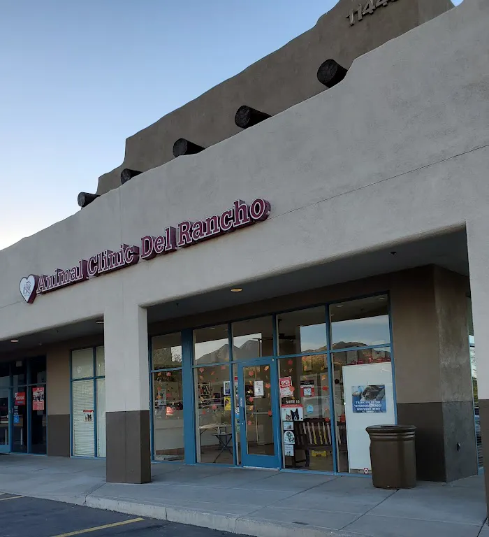 Animal Clinic Del Rancho, A Thrive Pet Healthcare Partner 1