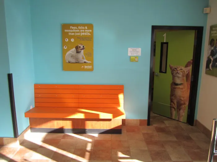 Banfield Pet Hospital 7