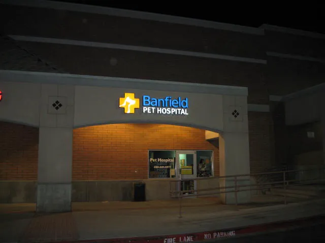 Banfield Pet Hospital 3