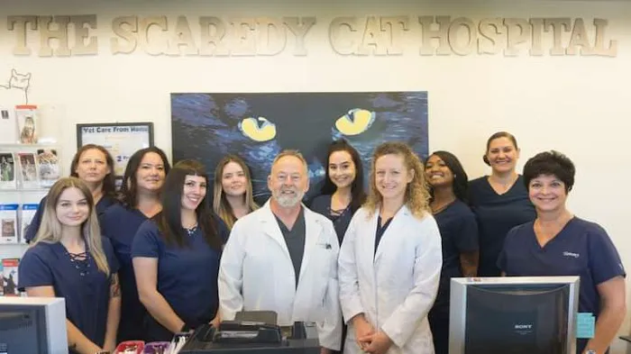 The Scaredy Cat Hospital 12